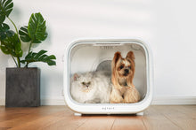 Load image into Gallery viewer, PETKIT AIRSALON MAX Smart Pet Dryer Box
