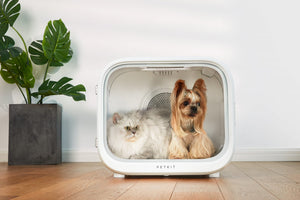 PETKIT AIRSALON MAX Smart Pet Dryer Box