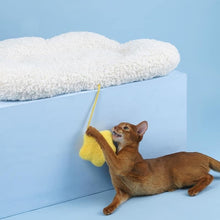 Load image into Gallery viewer, ZEZE Cloud Pet Bed
