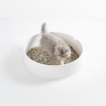 Load image into Gallery viewer, PIDAN 3-in-1 Mixed Cat Litter 5.2Kg
