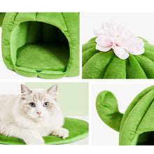 Load image into Gallery viewer, VETRESKA Cactus Fruity Cat Bed
