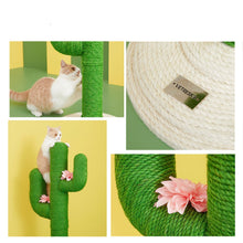Load image into Gallery viewer, VETRESKA Large Cactus Fruity Cat Scratching Tree
