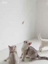 Load and play video in Gallery viewer, WOHOO MARKET Cat Teaser Wand with Natural Silk Ball
