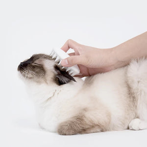 PETKIT EVERCLEAN Massage Comb And Pet Grooming Brush