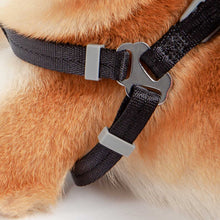 將圖片載入圖庫檢視器 TOUCHDOG Original Round Climbing Rope Dog Leash and Harness (Black)
