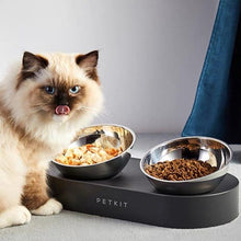 Load image into Gallery viewer, PETKIT Fresh Nano 15 Degree Adjustable Stainless Steel Feeding Bowl
