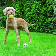 將圖片載入圖庫檢視器 ROSEWOOD Catch &amp; Play Football Dog Toy

