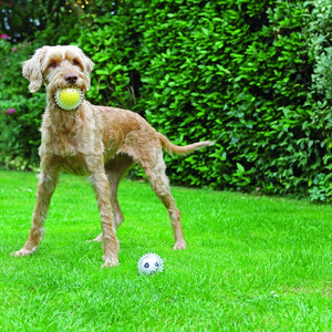 ROSEWOOD Catch & Play Tennis ball Dog Toy