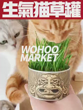 Load and play video in Gallery viewer, WOHOO MARKET Vibrant Cat Grass Growing Kit
