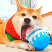 將圖片載入圖庫檢視器 KASHIMA Ice Dental Chew Pet Toy
