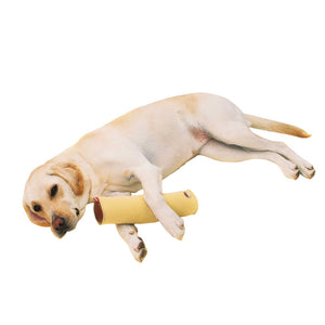 PETIO Zuttone Dog Care Cushion Stick