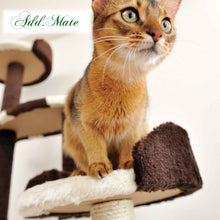 Load image into Gallery viewer, PETIO Add Mate Fish Family Cat Tree Tower Tall
