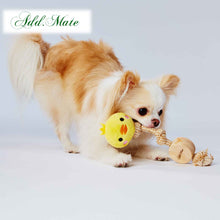 Load image into Gallery viewer, PETIO Add Mate Natural Floss Squeaker Woody Rope Animal Dog Toy
