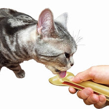 Load image into Gallery viewer, DOGGYMAN Big Plate Spoon For Cat Gold
