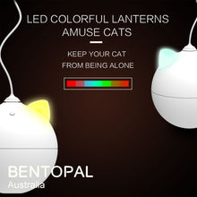 Load image into Gallery viewer, BENTOPAL P02 Colourful LED Roly Poly Electric Cat Toy
