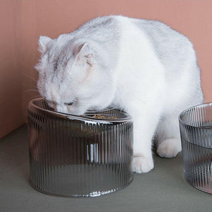 MICHU Fooddict Handmade Glass Double Cat Bowl
