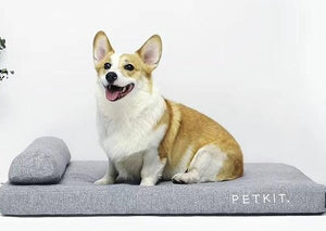 PETKIT Deep Sleep Pet Mattress Comfort Memory Foam Two Layers Pet Bed