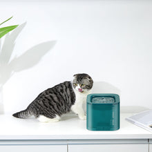 Load image into Gallery viewer, PETKIT Eversweet Solo Water Drinking Fountain
