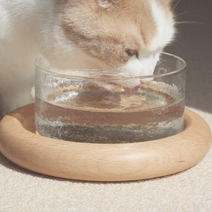 CATSCITY Pet Bowl With Wooden Holder