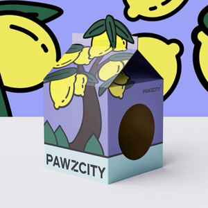 PAWZCITY Tetra-Pak Cat Scratcher House