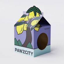 將圖片載入圖庫檢視器 PAWZCITY Tetra-Pak Cat Scratcher House
