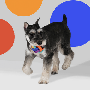 PAWZCITY Interactive Rope Ball With Loop Dog Toys