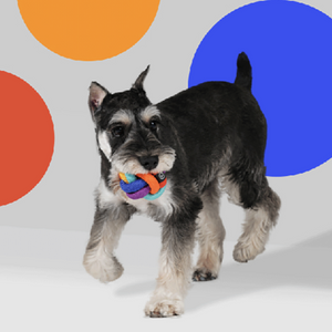 PAWZCITY Interactive Rope Ball Dog Toys