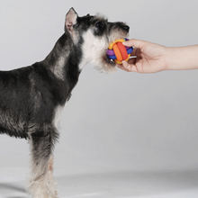 將圖片載入圖庫檢視器 PAWZCITY Interactive Rope Ball Dog Toys
