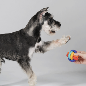 PAWZCITY Interactive Rope Ball With Loop Dog Toys
