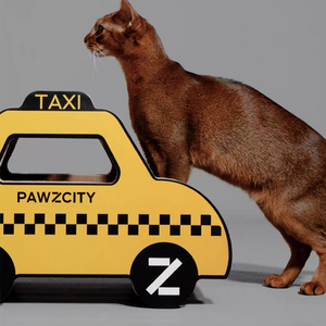 PAWZCITY Taxi Cat Scratcher