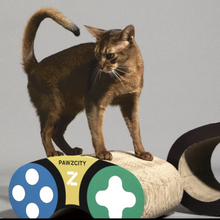 Load image into Gallery viewer, PAWZCITY Controller Cat Scratcher
