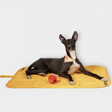 Load image into Gallery viewer, PAWZCITY Waterproof Travel Mat
