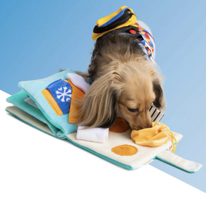 POOZPET Seven Eleven Sniffing Game Food Guide Pet Toys