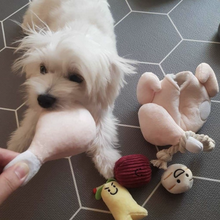 Load image into Gallery viewer, FLUFFURRY SamGye-Tang Pet Toys
