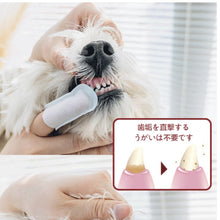 將圖片載入圖庫檢視器 KOJIMA Pet Dental Wipes
