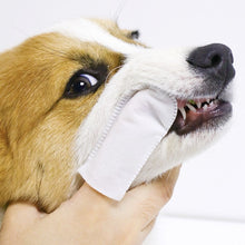 將圖片載入圖庫檢視器 KOJIMA Pet Dental Wipes
