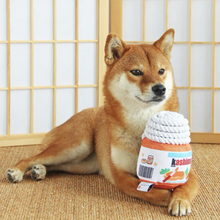 將圖片載入圖庫檢視器 KASHIMA Peanut Butter Dental Chew Pet Toy
