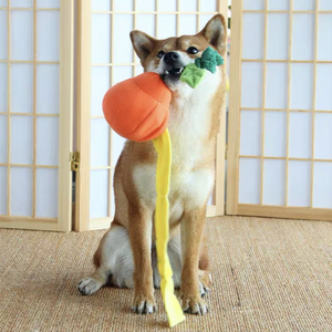 KASHIMA Orange Sniffling Pet Toy