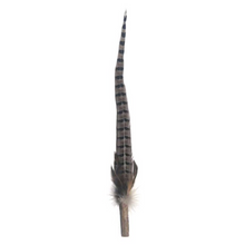 Load image into Gallery viewer, PETIO Pheasant Feather Cat Teaser With Silvervine 170cm
