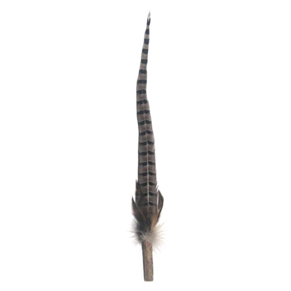 PETIO Pheasant Feather Cat Teaser With Silvervine 170cm