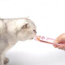 Load image into Gallery viewer, DOGGYMAN Pink Feeding Spoon For Cats
