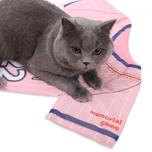 Load image into Gallery viewer, DOGGYMAN Baseball Shirt Pet Mat
