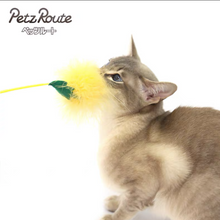 Load image into Gallery viewer, PETZROUTE Vegetable Cat Teaser Toy
