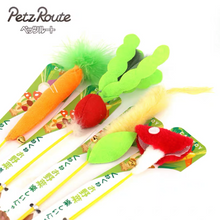 Load image into Gallery viewer, PETZROUTE Vegetable Cat Teaser Toy
