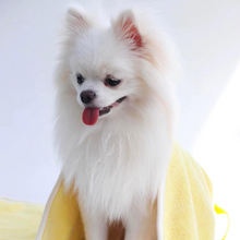 Load image into Gallery viewer, JHLY Duck Pet Bath Towel
