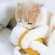 將圖片載入圖庫檢視器 PURLAB Beer Cat Toy With Catnips
