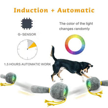 Load image into Gallery viewer, BENTOPAL P22 Smart Bone Rolling Toy
