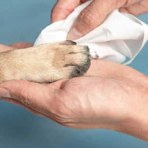 PIDAN Unscented Non-Toxic Pet Wet Wipes
