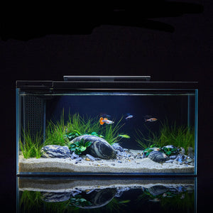 PETKIT Earak Smart Fish Tank Landscape