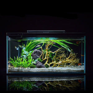 PETKIT Earak Smart Fish Tank Landscape
